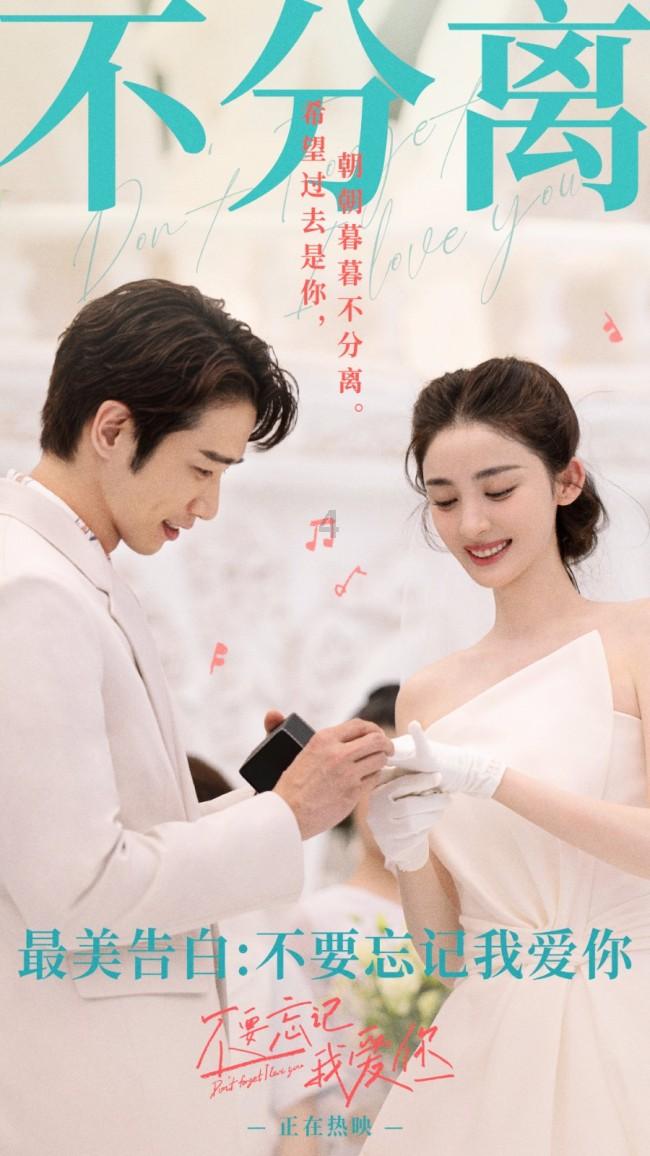小仓鼠吃瓜子